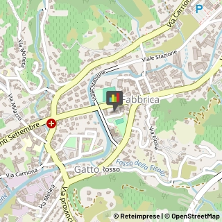 Veterinaria - Ambulatori e Laboratori,54033Massa-Carrara