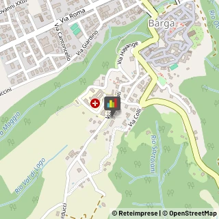 Aziende Sanitarie Locali (ASL) Barga,55051Lucca