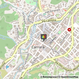 Fotocopie Carrara,54033Massa-Carrara