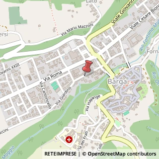 Mappa Via del Giardino, 123, 55051 Barga, Lucca (Toscana)
