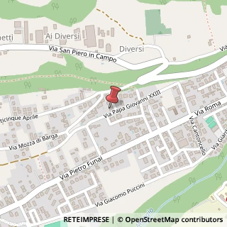 Mappa Via Papa Giovanni XXIII, 55051 Barga LU, Italia, 55051 Barga, Lucca (Toscana)