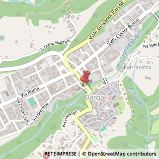 Mappa Via Ponte vecchio, 10, 55051 Barga, Lucca (Toscana)