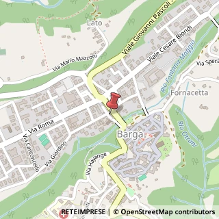 Mappa Via Ponte Vecchio, 9, 55051 Barga, Lucca (Toscana)