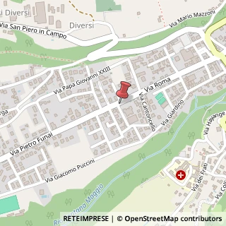 Mappa Via Roma, 41, 55051 Barga, Lucca (Toscana)