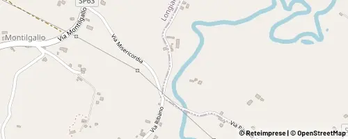 Mappa Savignano sul Rubicone