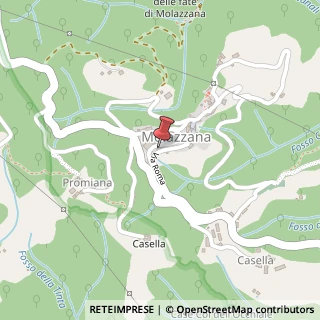 Mappa Via Roma, 4, 55020 Molazzana, Lucca (Toscana)