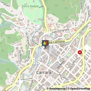 Piante e Fiori - Dettaglio Carrara,54033Massa-Carrara