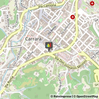 Poltrone e Carrozzelle per Infermi,54033Massa-Carrara