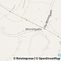 Map Longiano
