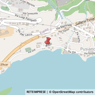 Mappa Via Canonica, 4, 22030 Pusiano, Como (Lombardia)