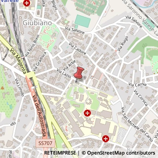 Mappa Via Lazio, 36, 21100 Varese, Varese (Lombardia)