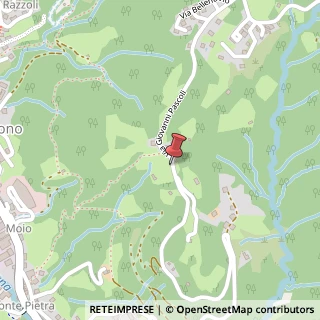 Mappa Via Giovanni Pascoli, 39, 24038 Sant'Omobono Terme, Bergamo (Lombardia)