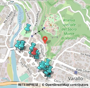 Mappa Via Caimi Beato, 13019 Varallo VC, Italia (0.273)