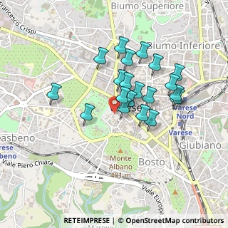 Mappa Via San Francesco D'Assisi, 21100 Varese VA, Italia (0.3665)