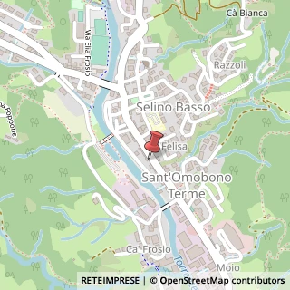 Mappa Viale V. Veneto, 103, 24038 Sant'Omobono Terme, Bergamo (Lombardia)