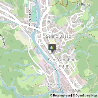 Articoli per Ortopedia Sant'Omobono Terme,24038Bergamo