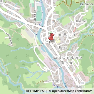 Mappa Viale V. Veneto, 129, 24038 Sant'Omobono Terme, Bergamo (Lombardia)