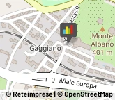 Agenti e Rappresentanti di Commercio,21100Varese
