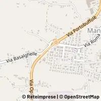 Map Mansuè