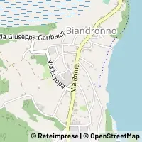 Hartă Biandronno