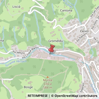 Mappa Via Cinque Martiri, N.21, 24029 Vertova, Bergamo (Lombardia)