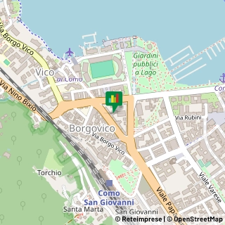 Viale Massenzio Masia, 26,22100Como