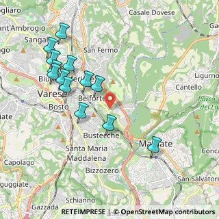 Mappa Via Friuli, 21100 Varese VA, Italia (2.07923)