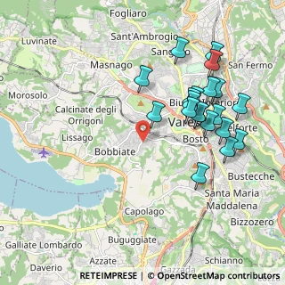 Mappa Via Nicostrato Castellini, 21100 Varese VA, Italia (2.0225)