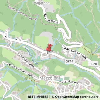 Mappa Viale alle Fonti, 63, 24038 Sant'Omobono Terme, Bergamo (Lombardia)