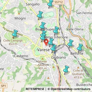 Mappa Via Gioacchino Rossini, 21100 Varese VA, Italia (0.93917)