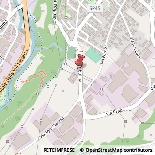 Mappa Via Tribulina, 4A, 24020 Casnigo, Bergamo (Lombardia)