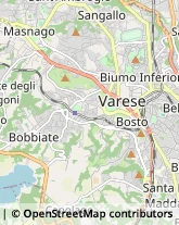 Scuole e Corsi di Lingua Varese,21100Varese