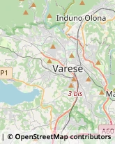 Scuole e Corsi di Lingua Varese,21100Varese