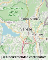 Scuole e Corsi di Lingua Malnate,21050Varese