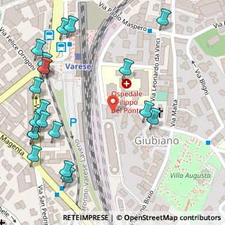 Mappa Via Filippo del Ponte, 21100 Varese VA, Italia (0.183)