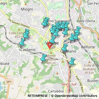 Mappa Via degli Alpini, 21100 Varese VA, Italia (0.875)