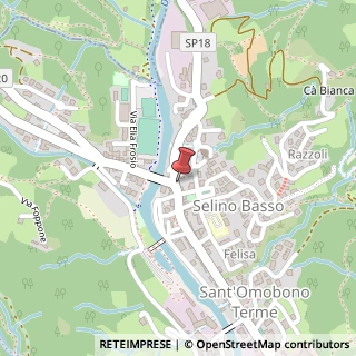 Mappa Viale V. Veneto, 172, 24038 Sant'Omobono Terme, Bergamo (Lombardia)