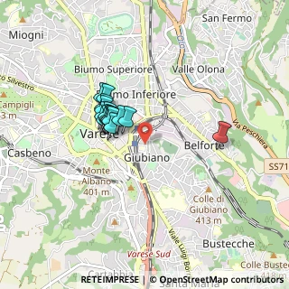 Mappa Via Michelangelo Buonarroti, 21100 Varese VA, Italia (0.66333)