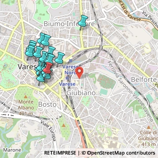 Mappa Via Michelangelo Buonarroti, 21100 Varese VA, Italia (0.555)