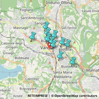 Mappa Via Carlo Avegno, 21100 Varese VA, Italia (1.0925)