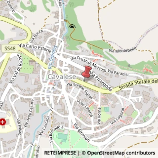 Mappa Via Fratelli Bronzetti, 39, 38033 Cavalese, Trento (Trentino-Alto Adige)