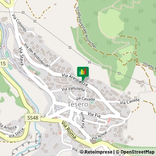 Via Arestiezza, 30,38038Tesero