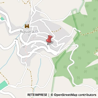 Mappa Viale della Vittoria,  60, 84020 Aquara, Salerno (Campania)