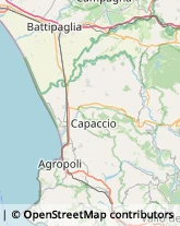 Macellerie Agropoli,84043Salerno