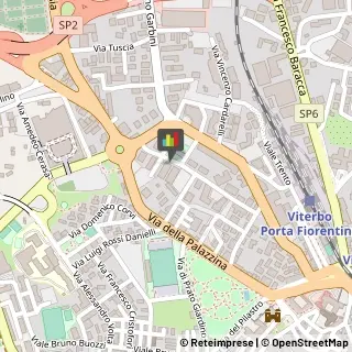 Logopedia,01100Viterbo