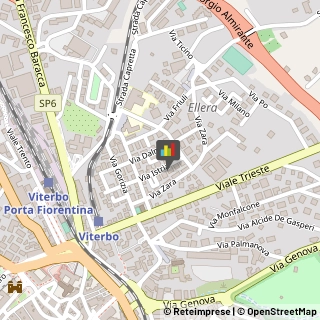 Consulenze Speciali Viterbo,01100Viterbo