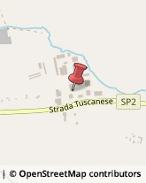 Strada Tuscanese, 79/C,01100Viterbo