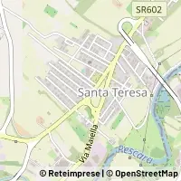 Peta Spoltore