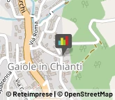 Enoteche Gaiole in Chianti,53013Siena