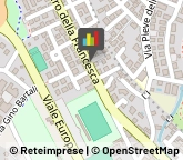 Piante e Fiori Artificiali - Dettaglio,06012Perugia